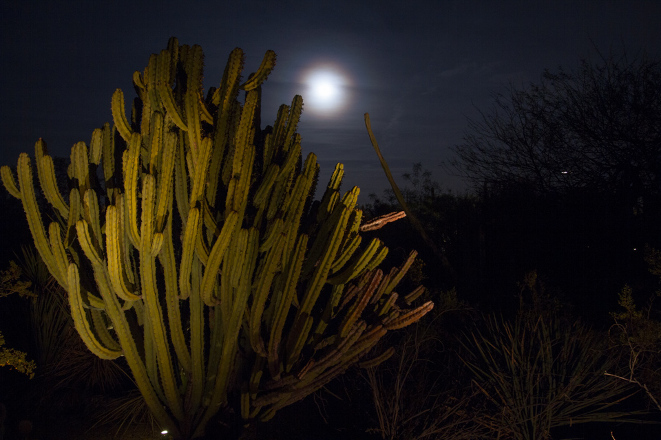 Full Moon in Phoenix, Arizona