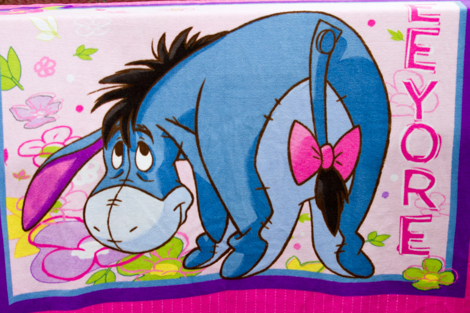 Eeyore's Birthday in Austin, Texas