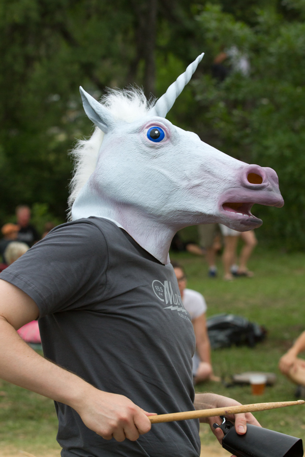 Horse Play in Austin, Texas
