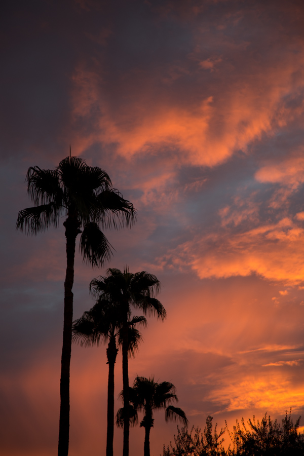 Sunrise in AZ in Paradise Valley, Arizona