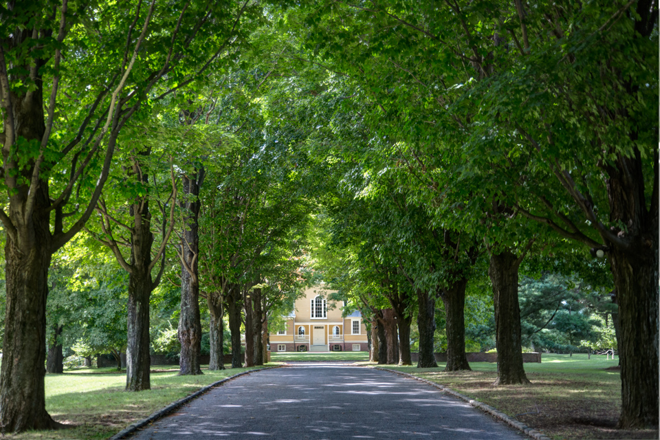 Tree Lined Entrance in Cold Springs, New York