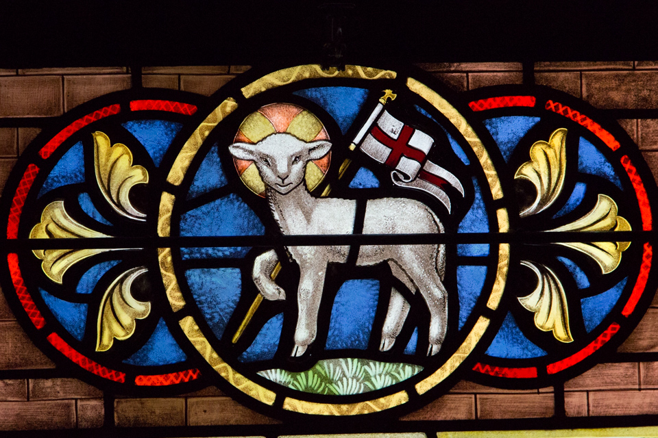 Lamb in Hyde Park, New York