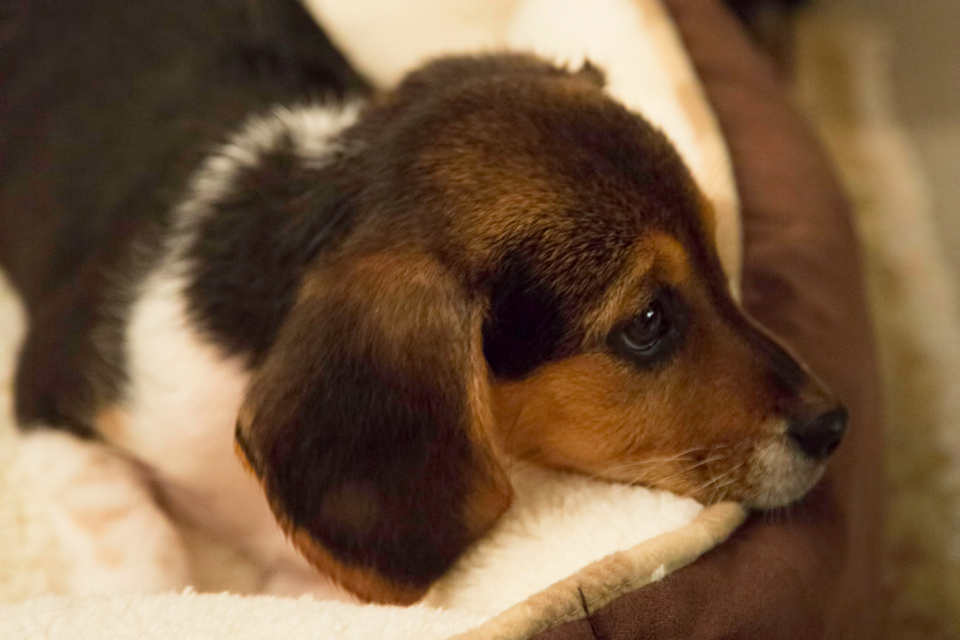 After a Bath in Austin, Texas