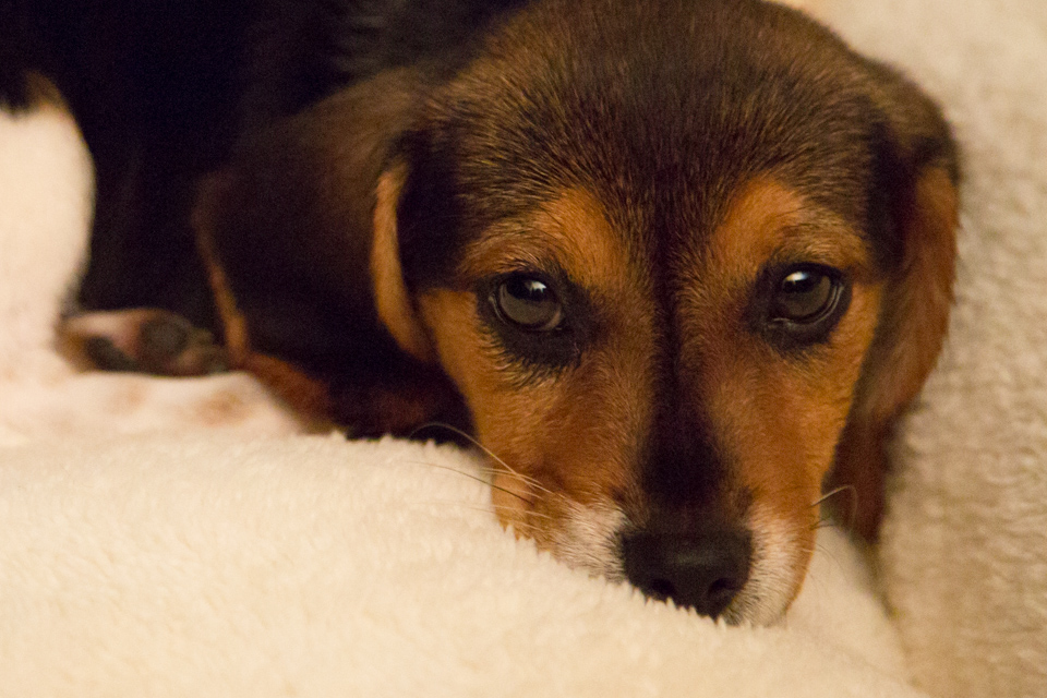 Look at those Eyes in Austin, Texas