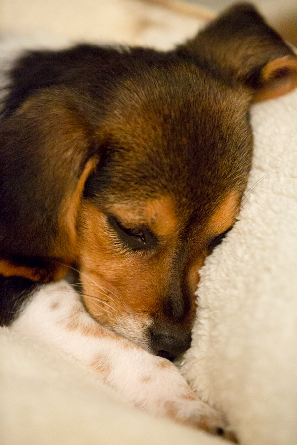 Resting in Austin, Texas