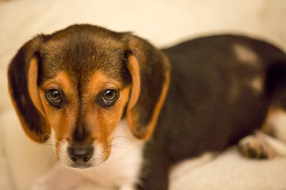 Riley Poses in Austin, Texas