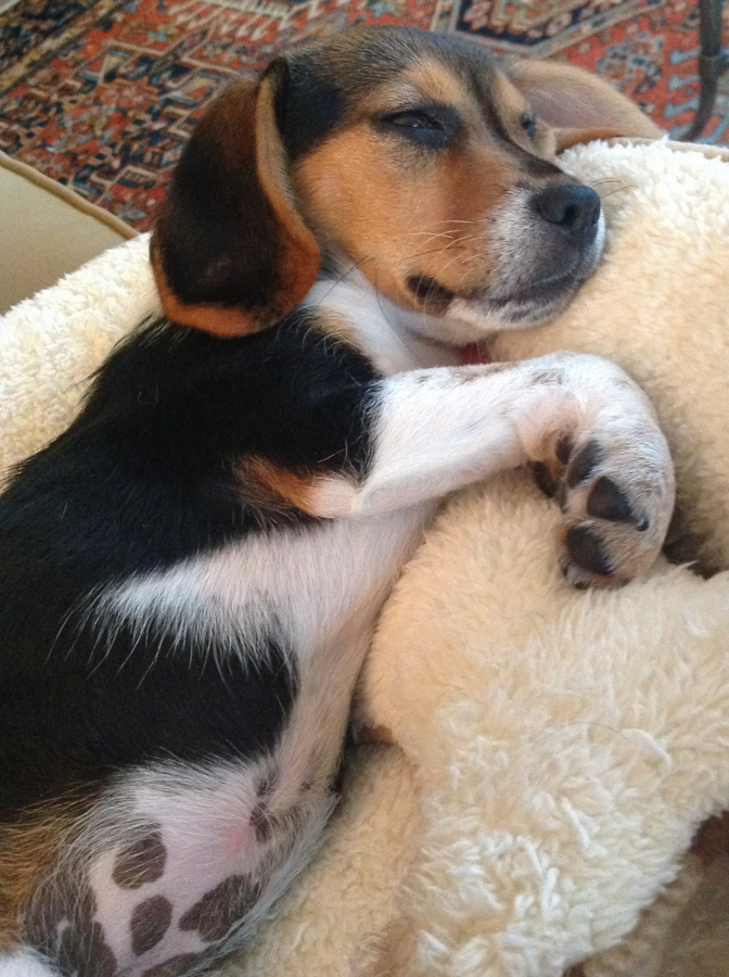 Sound Asleep in Austin, Texas