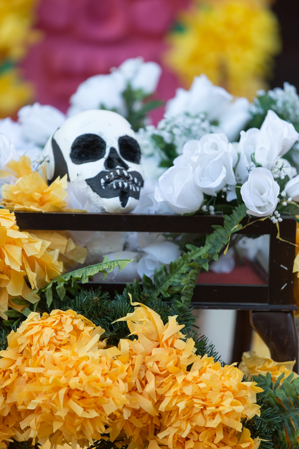 Skull Shrine in Austin, Texas