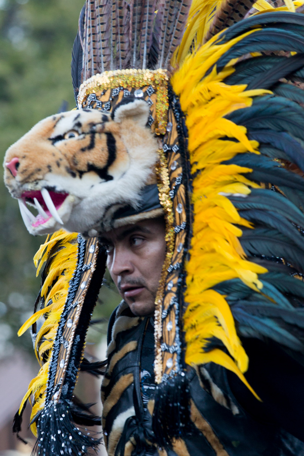 Tiger Dancer in Austin, Texas