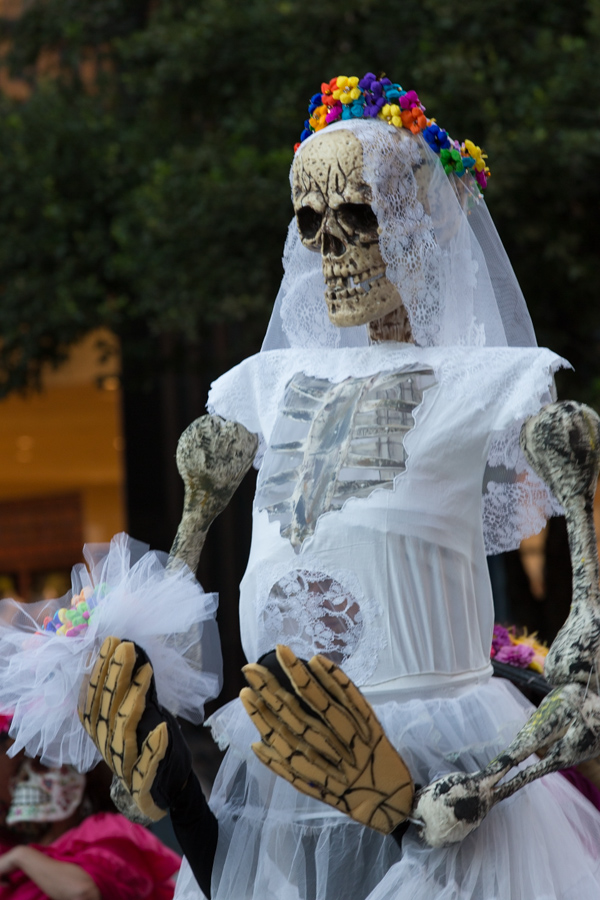 The Elegant Skull in Austin, Texas