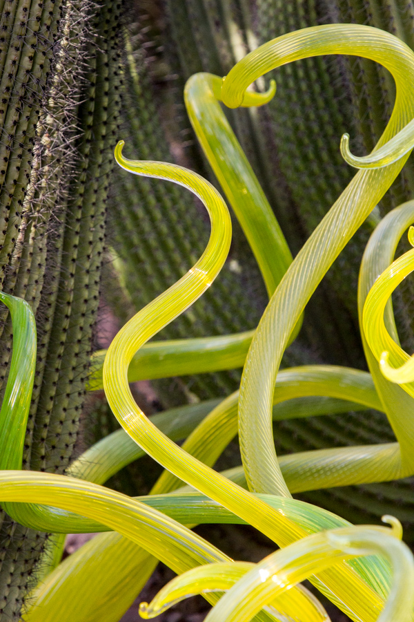 Green Shapes in Phoenix, Arizona