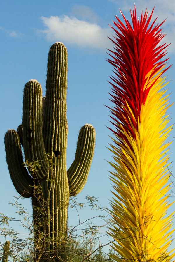 Tall Friends in Phoenix, Arizona