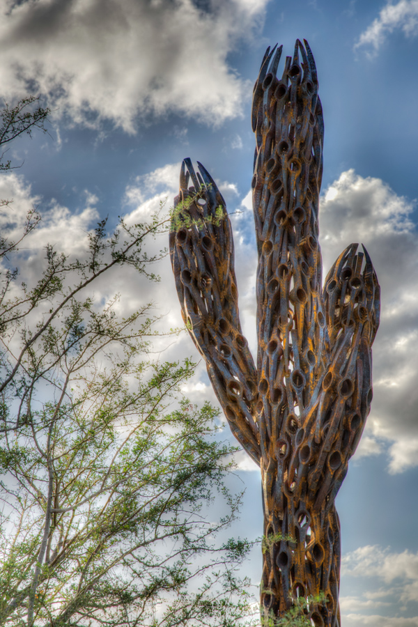 Iron Saguaro  in Phoenix, Arizona