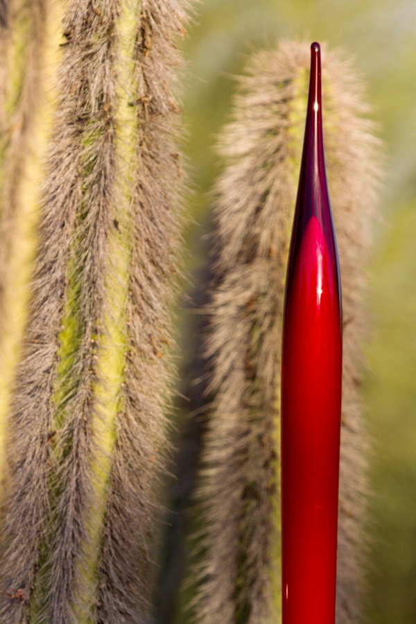 Red and Green in Phoenix, Arizona
