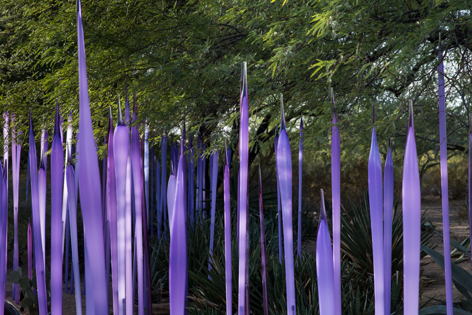 Neodymium Reeds in Phoenix, Arizona
