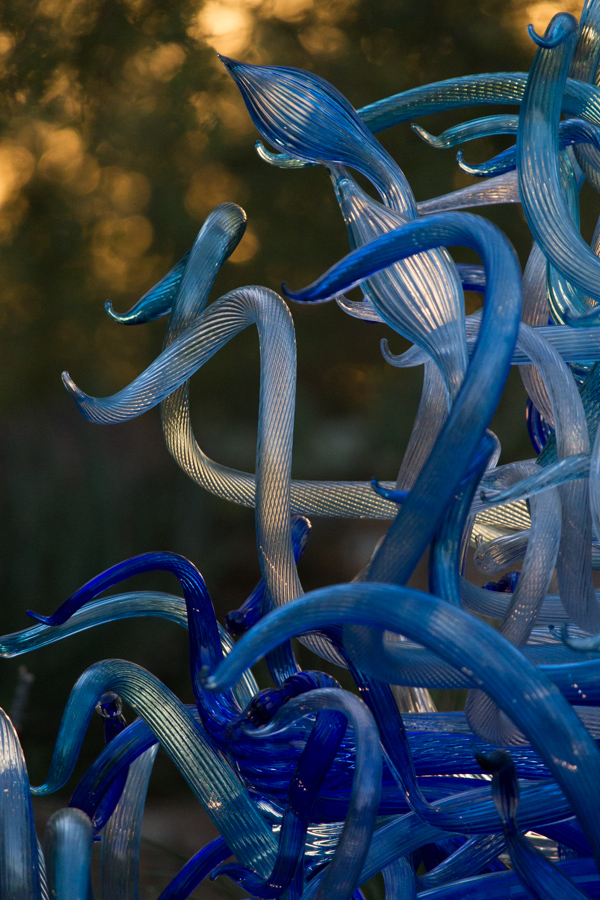 Pretty Glass in Phoenix, Arizona