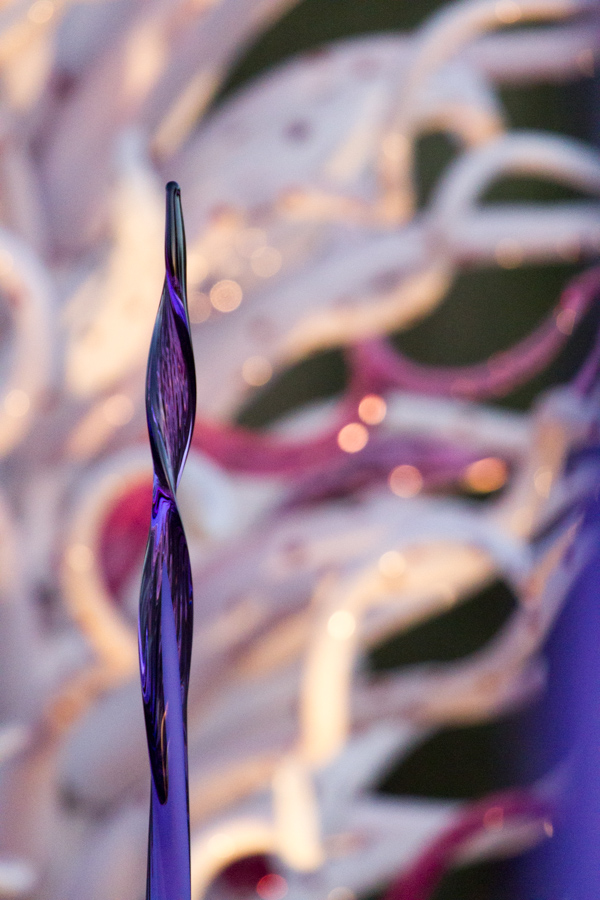 Purple Glass in Phoenix, Arizona