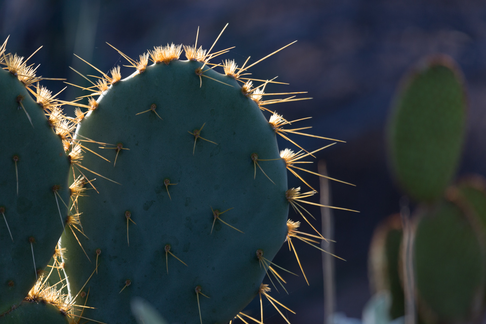 Catching Light in Phoenix, Arizona