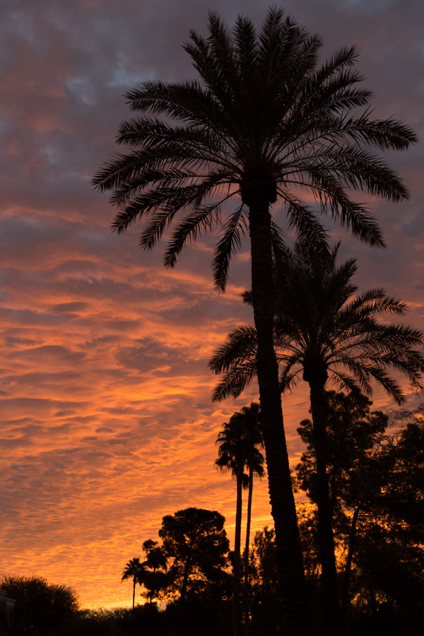 Arizona Sunrise in Phoenix, Arizona