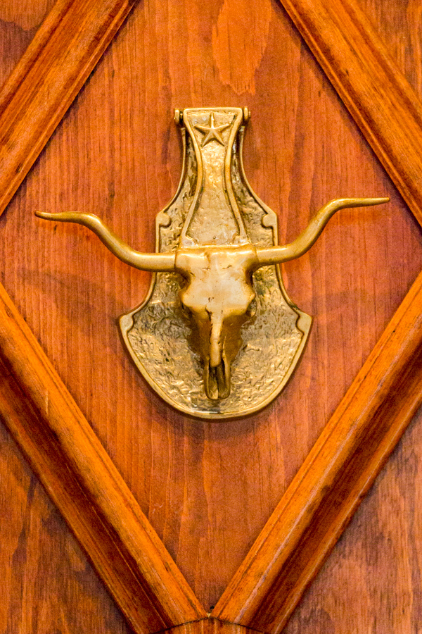 Longhorn in Austin, Texas