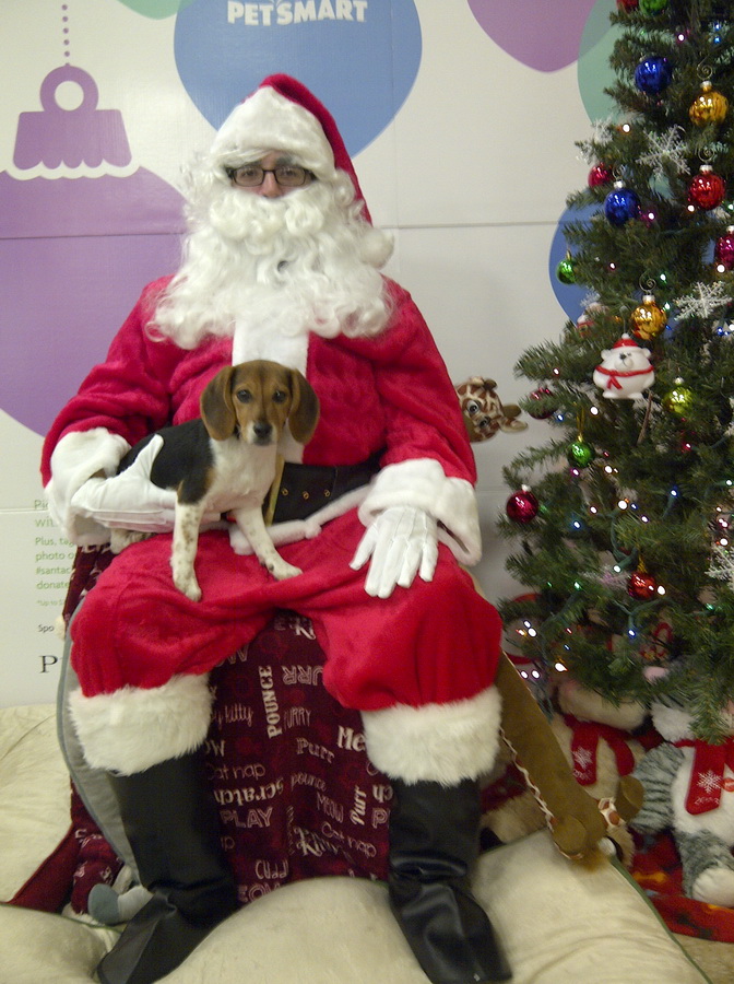 Santa's Lap in Austin, Texas