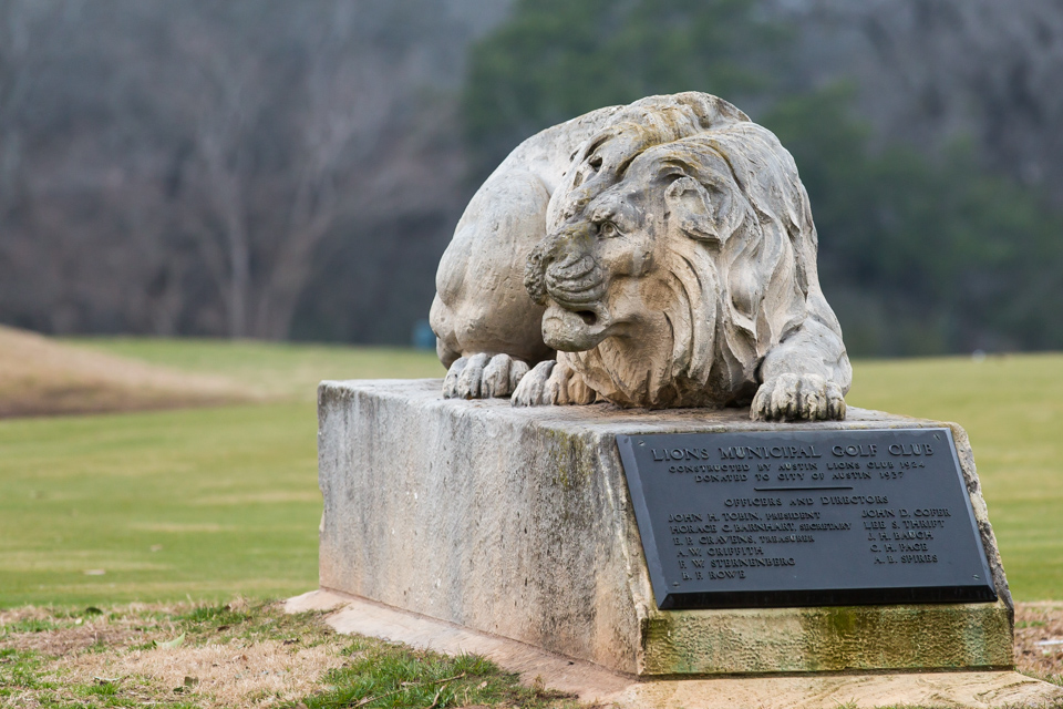 The Lion in Austin, Texas