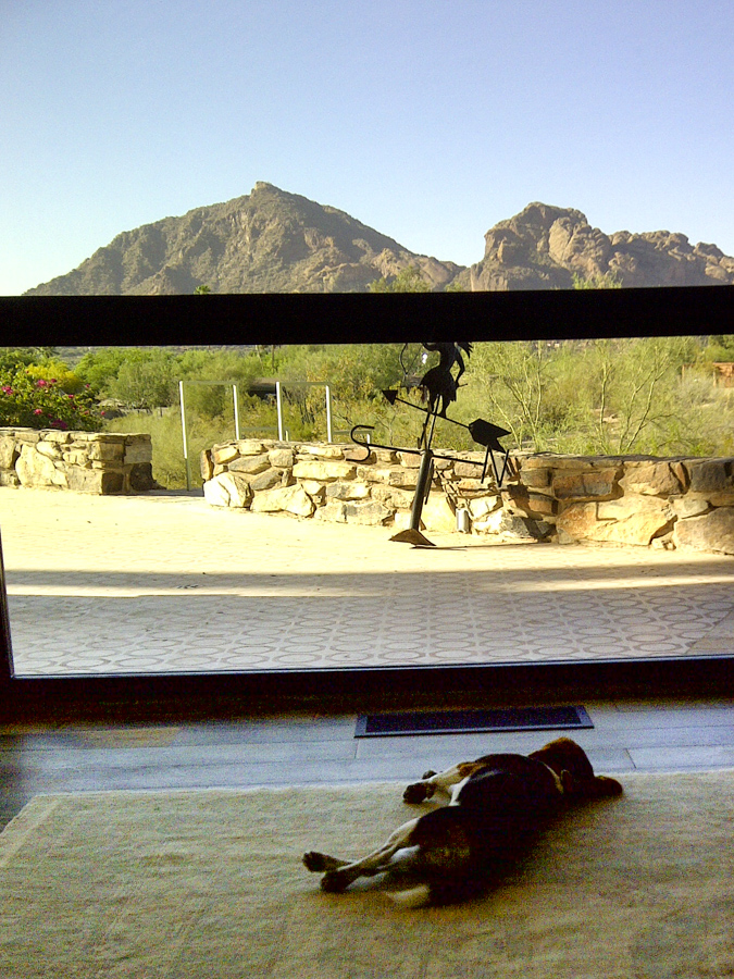Relaxing in Paradise Valley, Arizona