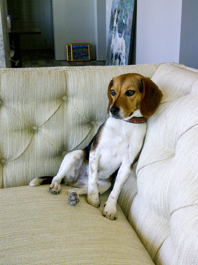 On the Couch in Paradise Valley, Arizona