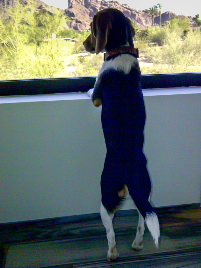 What is out There? in Paradise Valley, Arizona