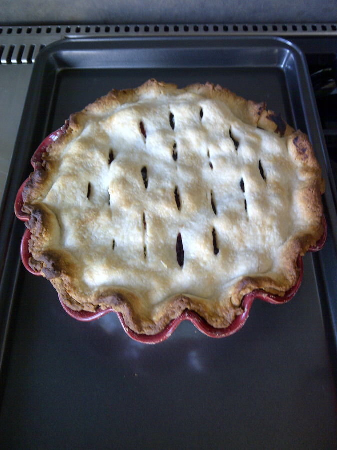Pretty Pie in Paradise Valley, Arizona
