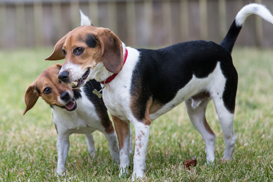 Brother and Sister in Austin, Texas
