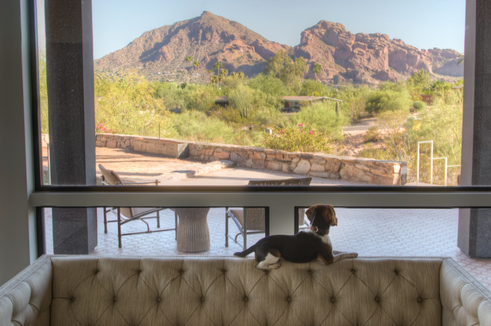 Riley's View in Paradise Valley, Arizona