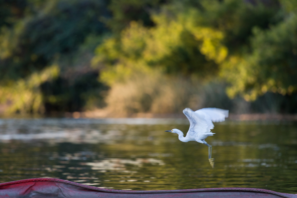Flying Low in Austin, Texas