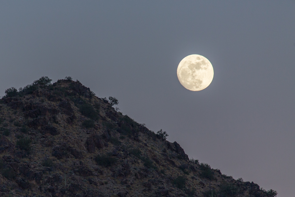 Desert Moon in Paradise Valley, Arizona