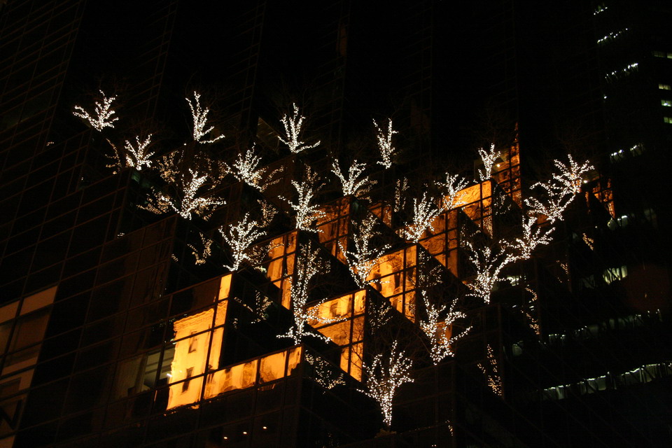 Trump Building at Christmas