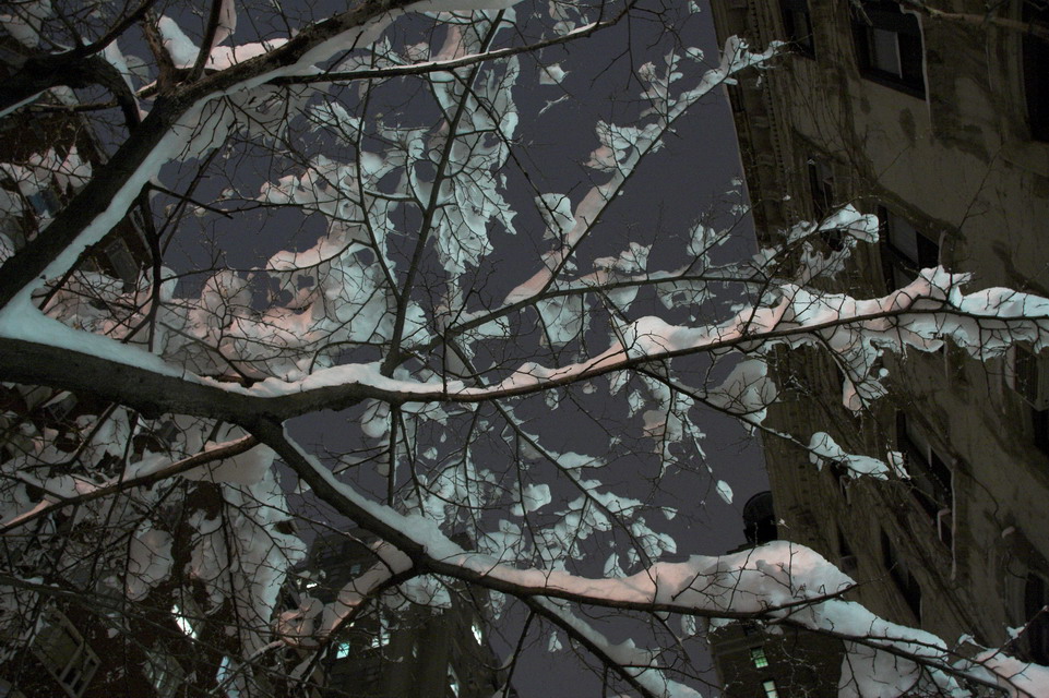 Snow Fall