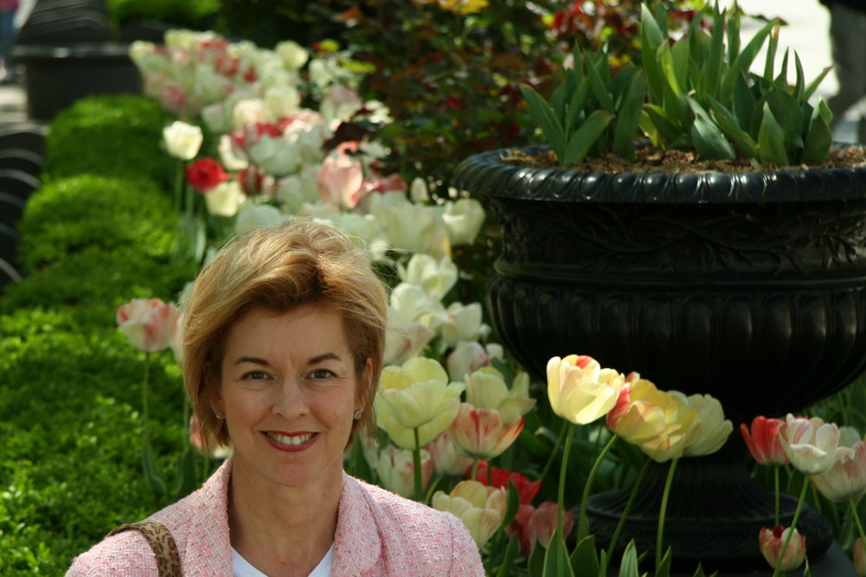 VA in the Tulips