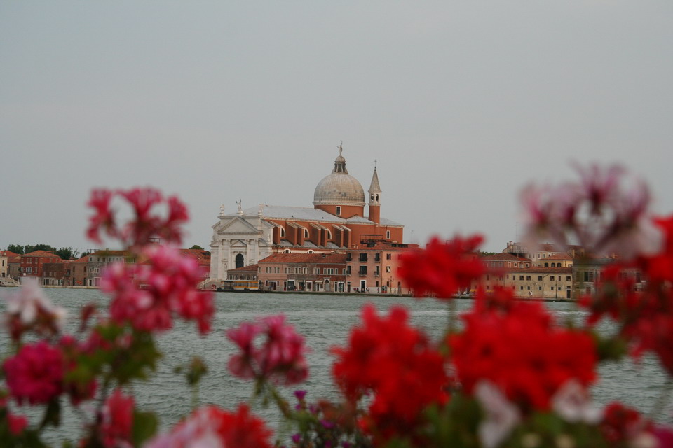 Venice Church through Flowers