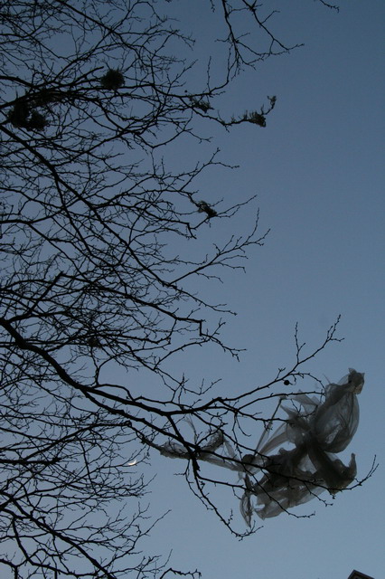 Tree Trash