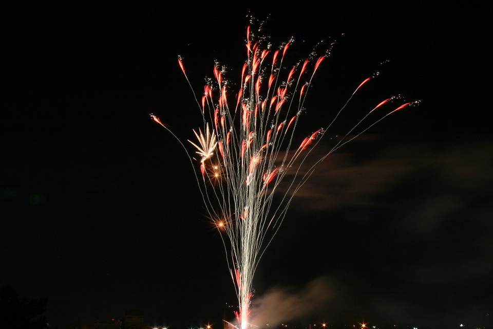 Fireworks Bouquet