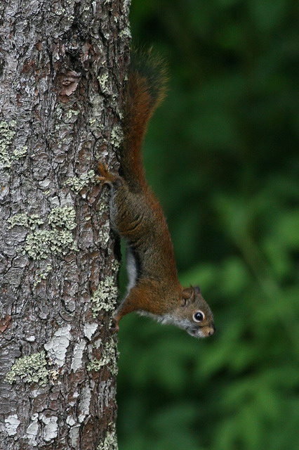 Going Vertical