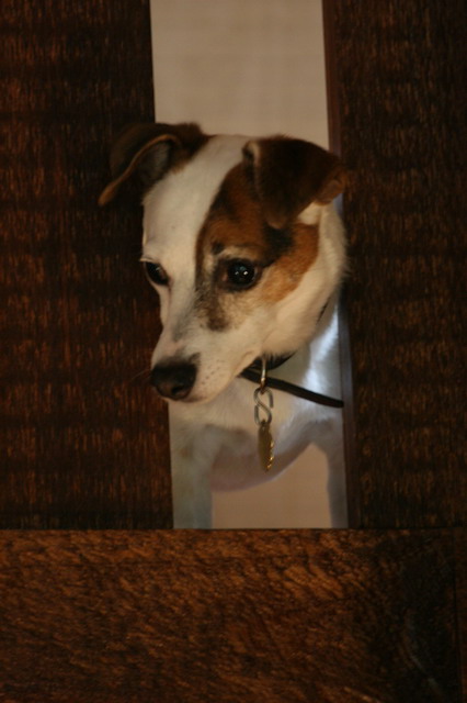 Hello Down There