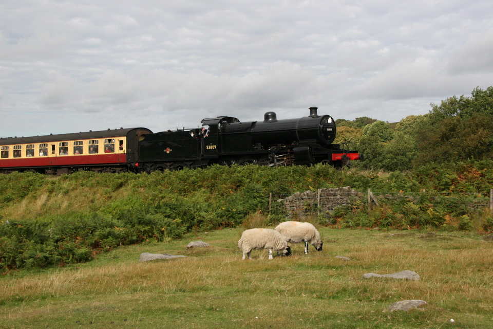 Country Train
