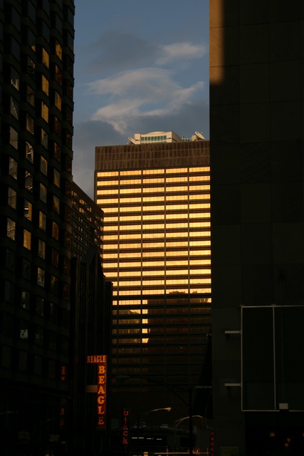 Reflections