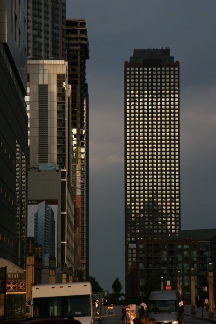 Skyscraper Fish