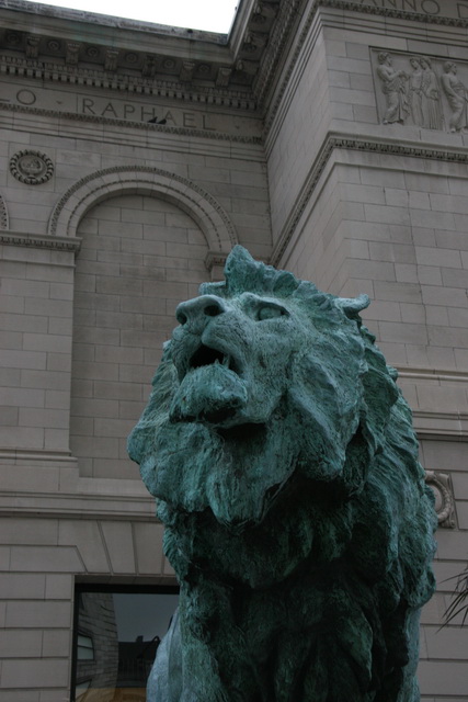 Lions in Chicago