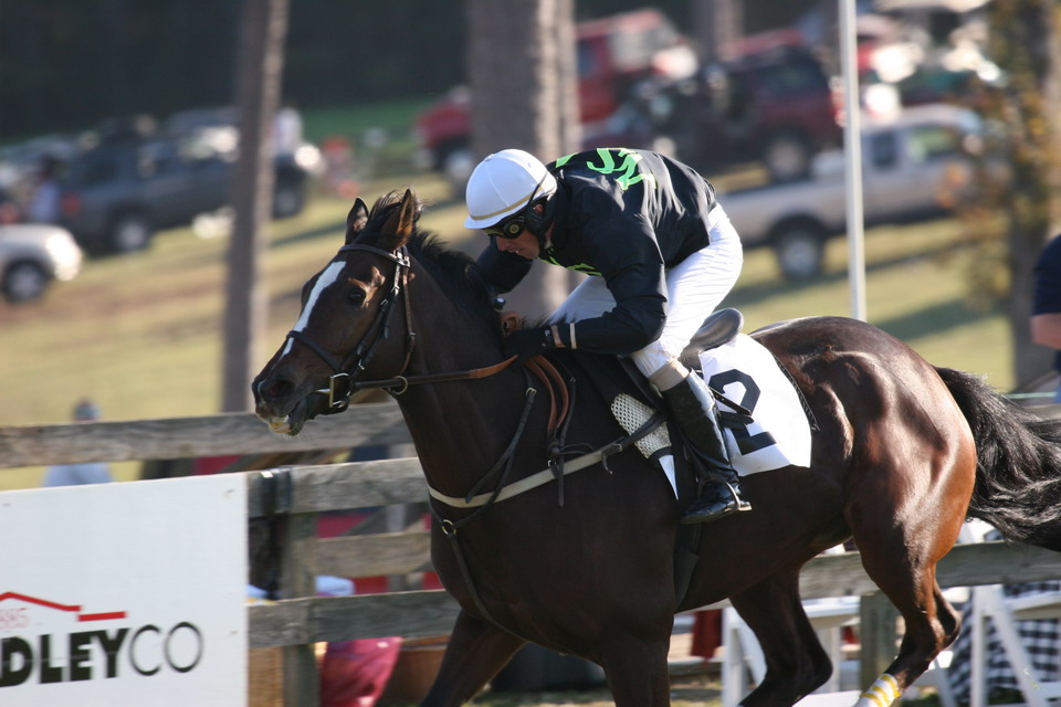 Horse and Jockey