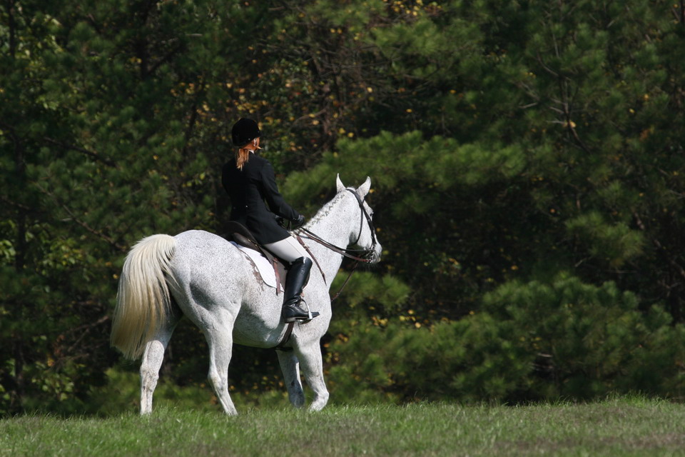 White Horse and Rider