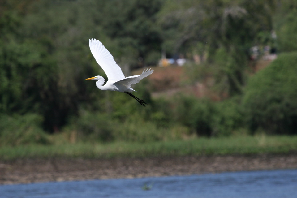 In Flight