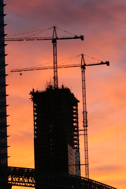 Cranes at Sunset